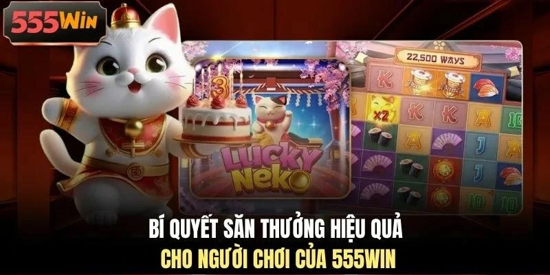 Bí quyết săn thưởng hiệu quả cho người chơi của 555WIN Bí quyết săn thưởng hiệu quả cho người chơi của 555WIN