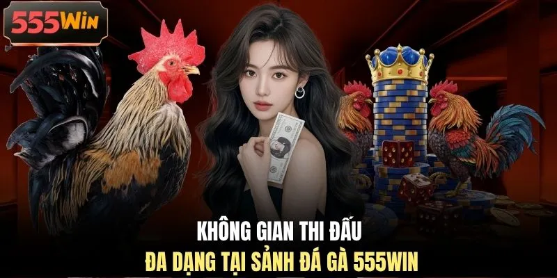 Không gian thi đấu đa dạng tại sảnh đá gà 555WIN